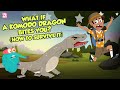 Komodo Dragon Quiz