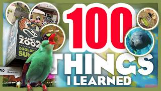 🌎 100 Things I Learned From Planet Zoo 2's Zoological Summit!