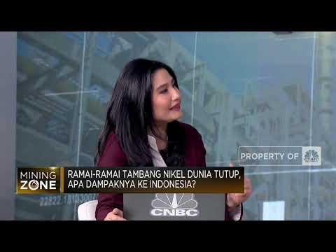 Tambang Nikel Dunia Ramai Tutup, Apa Dampaknya ke RI?
