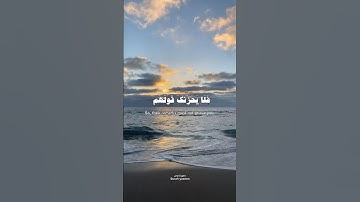 فلا يحزنك قولهم | سورة يس