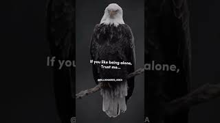 Famous THEN DON'T EXPECT YOUR LIFE TO BE NORMAL 💯 Net Worth