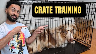 How I Got My Aussie To Relax In The Crate