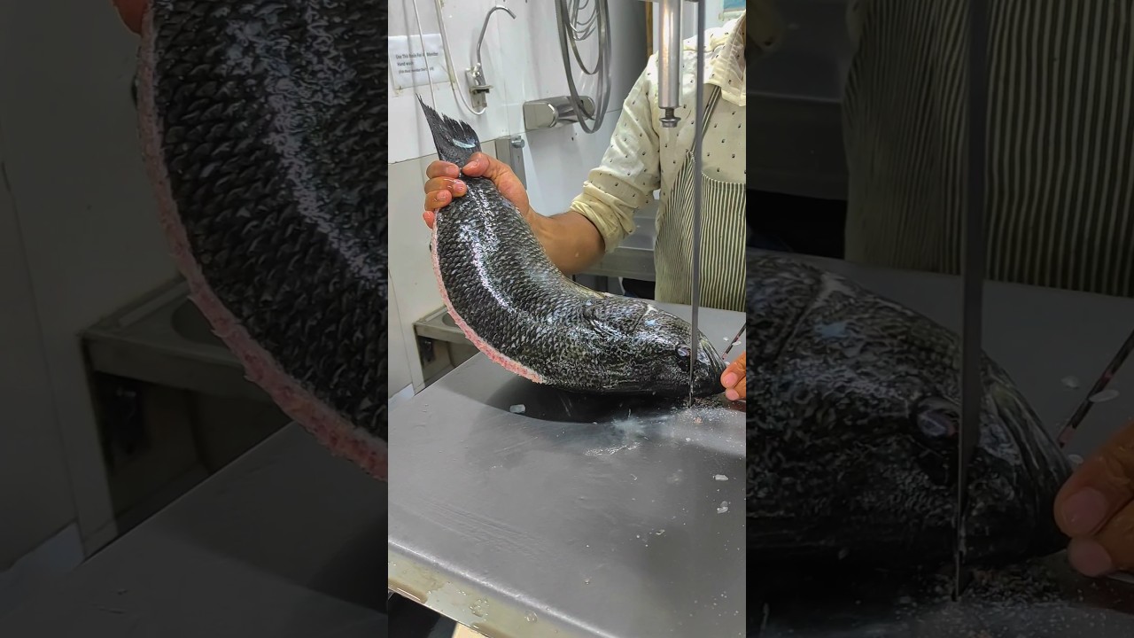 SeaKoi Fish Gast Wow Cutting Skills in Bangladesh Fish Cutter Man Skills 