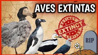 ¡7 Aves EXTINTAS! ☠ Animales extintos por el Hombre que ¡NUNCA VEREMOS! Documental