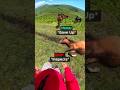 Biker Helps A Horse In Trouble