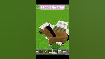 how to make rabbit 🐇 trap in minecraft #shorts #minecraft