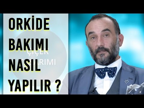 Orkide Bakımı Nasıl Yapılır?