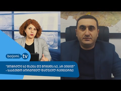 “მოჭრილი ხე დაეცა თუ მოტყდა ხე, არ ვიცით” - სააგენტო ბორჯომელ დაღუპულ რეინჯერზე