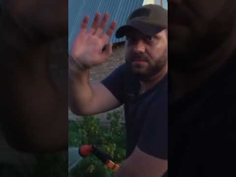 Макс Ващенко ЕЛИСЕЙ ВЕРНУЛСЯ! ПОМОЖЕТ НАЙТИ МАШИНУ #shortsyoutube