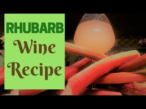 Making Rhubarb wine. Simple recipe