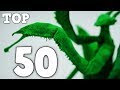 Top 50 Most Complex Origami In The Entire World
