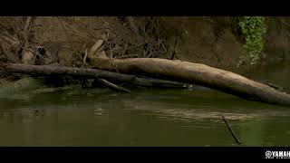 Fishing Tips with Patrick Walters
