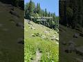 Dil च हत ह फ र स ह म चल ज न Himachalpradesh Manali Sethan Sarchu Youtubeshorts Dil च हत ह फ र स ह म चल ज न Himachalpradesh Manali Sethan Sarchu Youtubeshorts