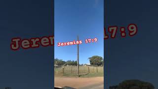#reflexao #motivação #motivacional #gratidão #fe #amor #jesus #abençoe