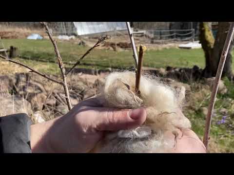 Video: Kesostmunkar Med äpplen