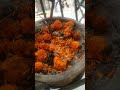 #Pusa #Decomposer Liquid converts used #Pooja #Flowers into #Compost, giving excellent results.
