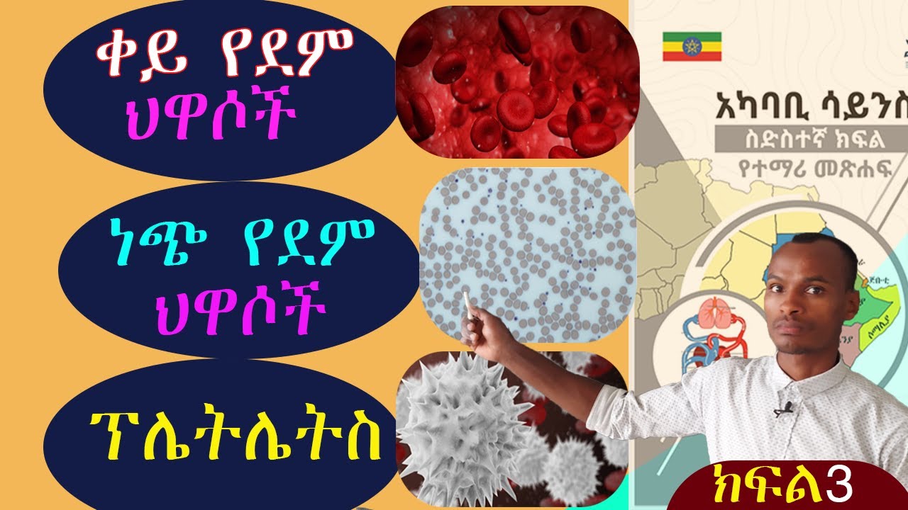6ኛ ክፍል አካባቢ ሳይንስ 🇪🇹🇪🇹(የደም ኡደት፣ ደም እና የደም ህዋሶች) በቀላሉ ለመረዳት