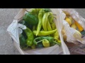 My Garden Haul for July 11, 2017 in Moneta, VA