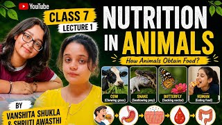 Class 7 chapter 2 Nutrition in animals lecture 1 Ncert line by line cbse (Shubhra Shukla)