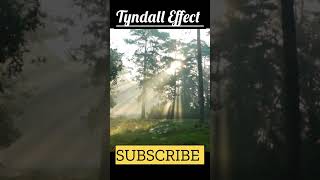 Exploring the Tyndall Effect: When Light Reveals Secrets Tyndalleffect