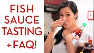 Ultimate Guide to FISH SAUCE  Hot Thai Kitchen