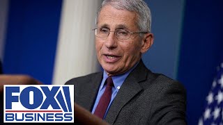 Dr. Fauci, health officials testify before Senate on reopening US amid coronavirus