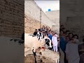 #athradand #fatehjangi #fatehjang #dhani #qurbani2025 #unloading #bull #cow #shorts #short #trend