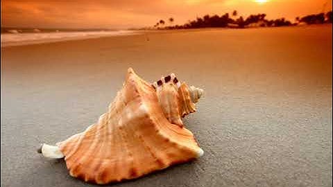 روائع التلاوات ناصر القطامي التوبة الاية 38