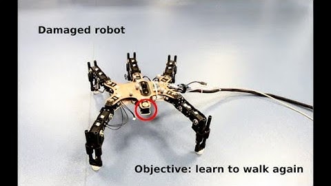 Towards semi-episodic learning for robot damage recovery