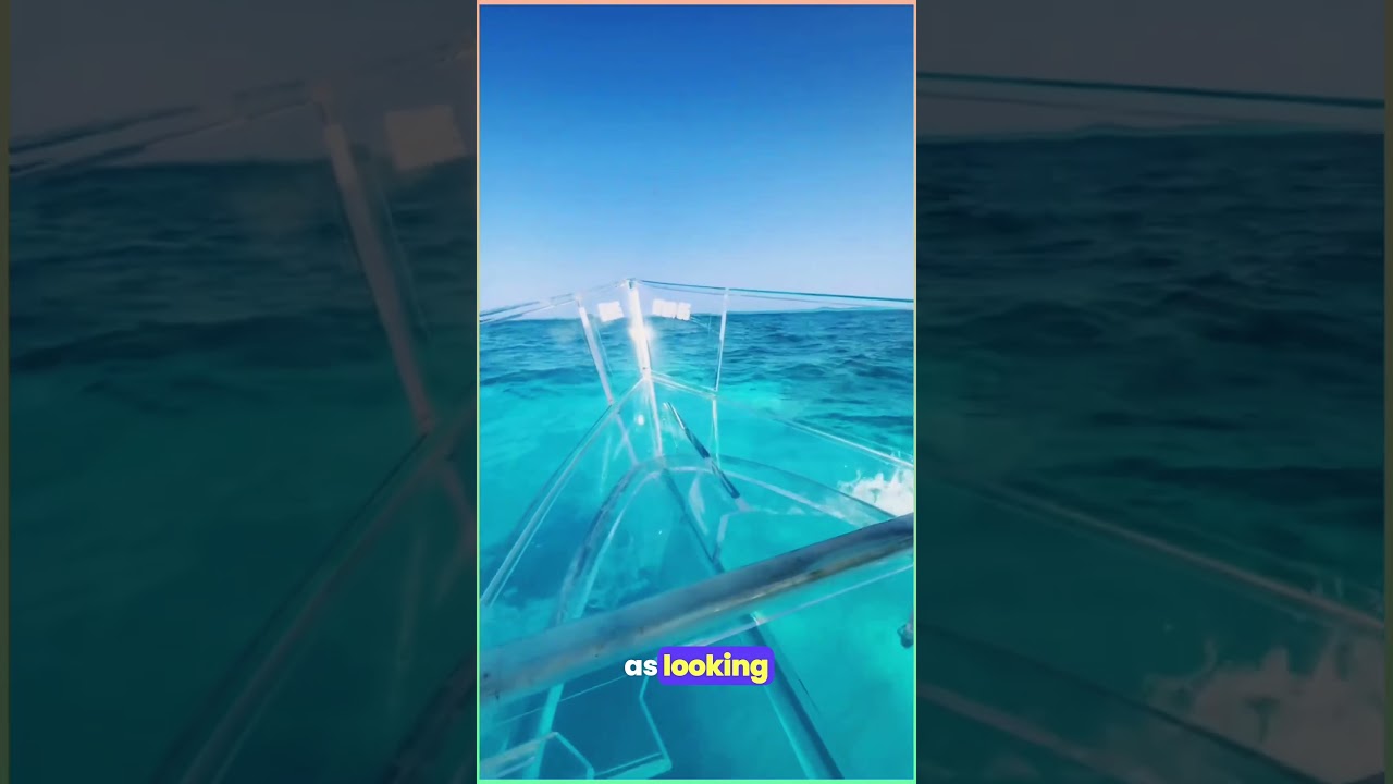 Underwater Wonderland: Exploring the Deep Blue in a Glass Boat!