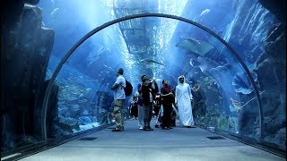 تسريب في حوض الاسماك في دبي مول