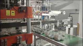 PET clear fruit package vent air clamshell box auto making thermoforming machine DM60 4 station