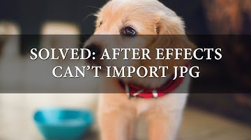 Solved: After Effects Can