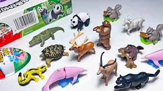 Sea Animals & Wild Animals  Dolphin, Crocodile, Goat, Panda, Beaver, Monkey, Gecko, Turtle