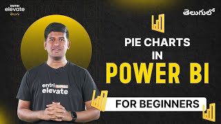 Pie Charts in Power BI | Entri Elevate Telugu