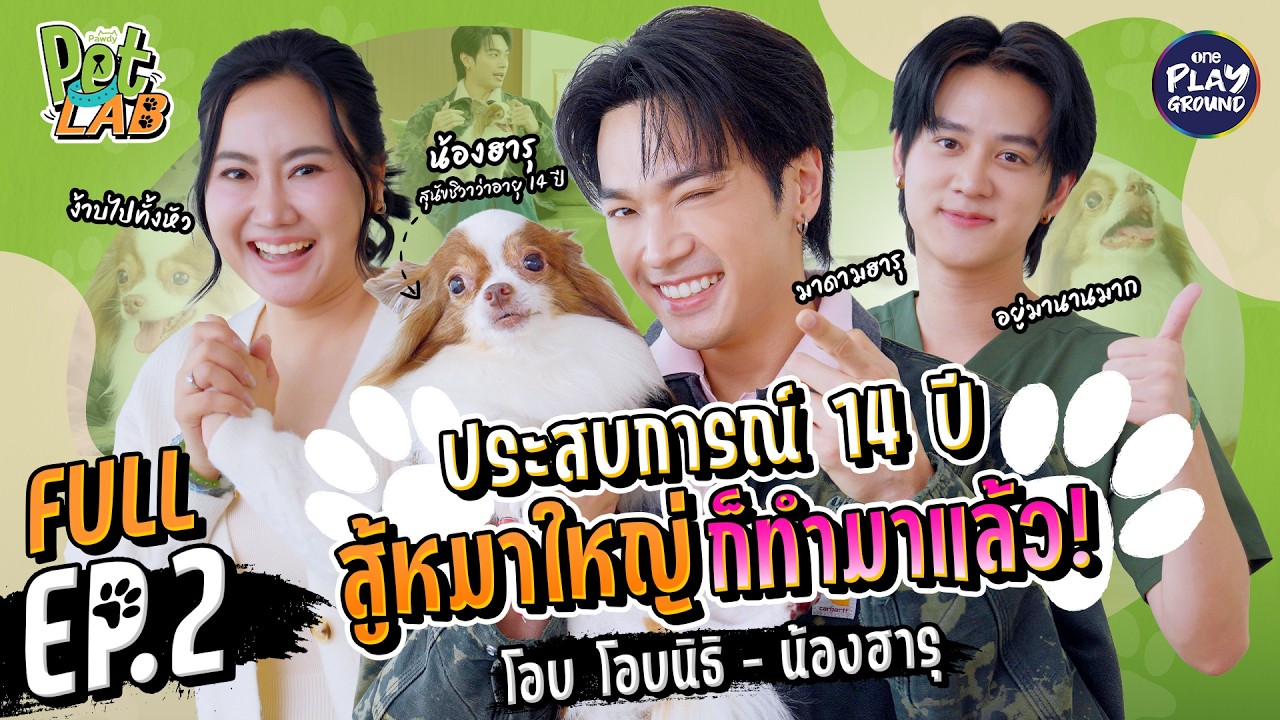 “โอบนิธิ” เลี้ยงหมาตัวเล็ก แต่หัวใจนักสู้ | Pet Lab FULL EP.2 | One Playground