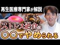 【再生医療専門家が解説】ストレス過食がやめられない人へ!脳の疲労を取り、食べ過ぎを抑える方法と治し方のコツ