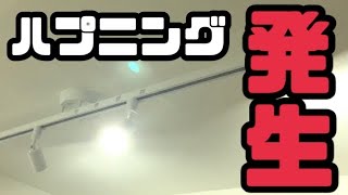 【離婚後10年／照明取付】賃貸OKダクトレール.スポットライト取付完了と思ったら…／食器紹介