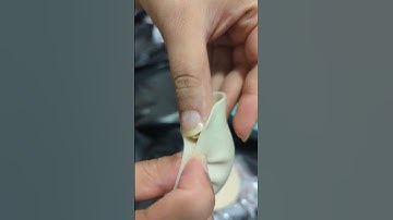 How To Wrap Dumplings?