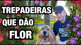 15 OPÇÕES de PLANTAS TREPADEIRAS com FLOR 🌺 | Henrique Buttler