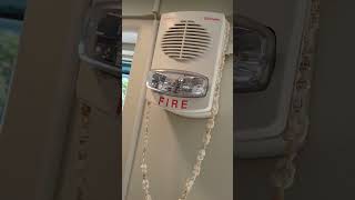 Simplex TrueAlert Speaker Strobe Decoration