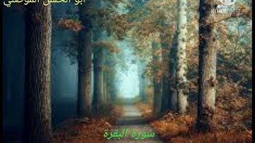 سورة البقرة من الايه ١٨٦ الئ الايه١٩٧ للقارئ أبو الحسن الموصلي