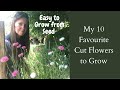 10 Favourite Cut Flowers To Grow | Easy Flowers To Grow From Seed | Cut Flower Garden