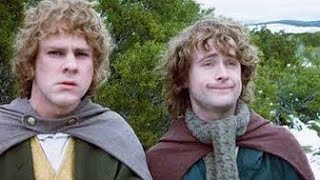 merry and pippin being siblings for 2 minutes straight