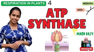 ATP Synthase  Structure & function |How to produce Energy ✅🤓