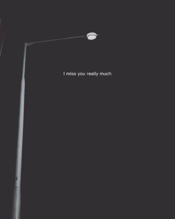 story wa I miss You