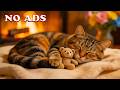 12 Hours Of Cats Music for Anxiety🎵🐈Calm Sounds for Relaxation, Safety and Deep Sleep