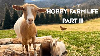 Peaceful Farm Life | Hoof Trimming