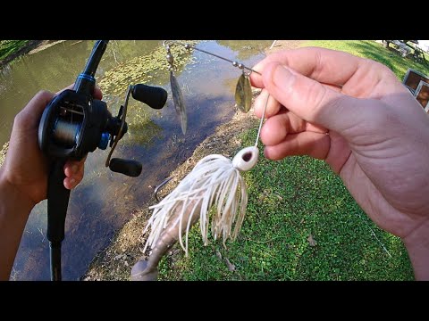 Fishing Giant Spinnerbait for MONSTER Winter Bass in LOADED Lake!!!