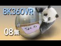 VR panda space15min episode 08 VR熊猫空間08集